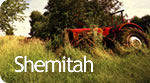 Shemitah